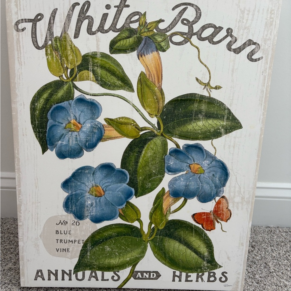 White Barn Blue Trumpet Vine Wall Art